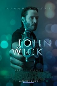 John Wick online